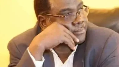 Professor Qur: The identification of the quadruples states behind the cancellation of the Washington conference on Sudan