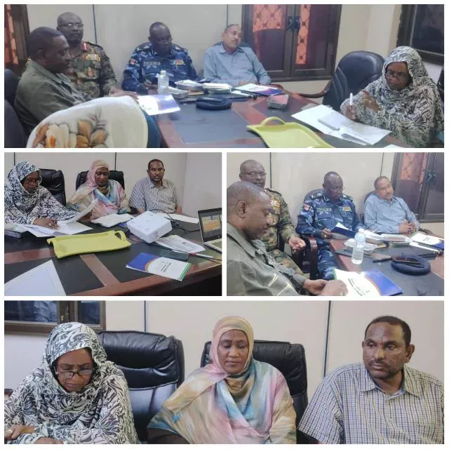 Sennar is preparing to distribute more than 800,000 saturated mosquitoes in the 2025 campaign to combat malaria with international support