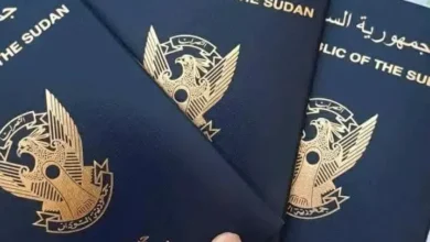 The Criminal Department of the General Administration of Passports.