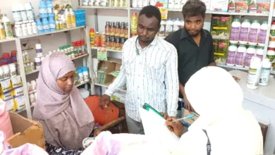 The Minister of Sennar production: he highlights the intensification of inspection and control campaigns on the pesticide markets