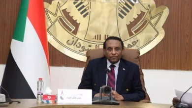 The Prime Minister renders a decision appointing the team, Dr. Hisham Mohamed Abdel Rahim, President of the Medical Council and D. Al -Rasshid Muhammad Hamza as his assistant