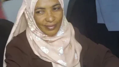 The Secretary-General of the Supreme Council for Strategic Planning in the Nile: the seventh session aims to activate the role of the Council and to address the repercussions of the war