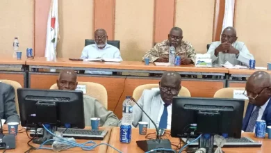 The Sennar Ministry of Production is a joint meeting between the agricultural emergency chamber and the agricultural financing work