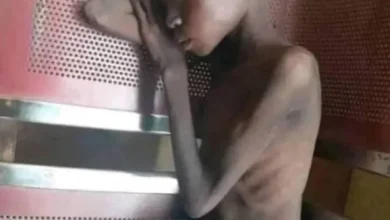 The child of the child ... Hunger is based on the shoulder of the world ✍️ Awad Allah Nawi