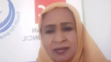 The director of the media in Sennar rents the stage of the ministries who meet management programs ... Professor Thaniyeh Al -Sadiq: they are attached to the directives of the Governorate of Sennar to reach all localities and institutions and promote his media activities