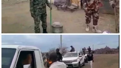 The joint security cell of the state of Sennar performs raid campaigns for crime nuclei in the state localities