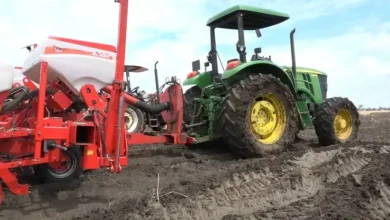 The start of the agricultural season in the Nile Bleu region