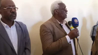 WALI DU NIL: Young centers are the most suitable place to create a generation and repair