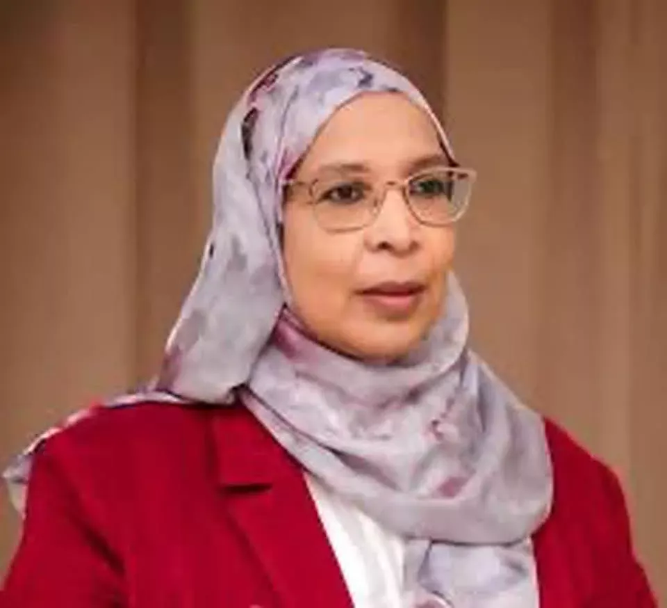Who is Dr. Lamia Abdel Ghaffar, Minister of Cabinet Affairs
