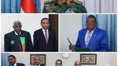 A number of ministers take the oath before the president of the sovereign council