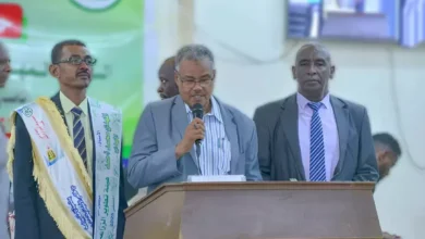 Deputy Governor of the Nile: the banking sector is an essential pillar in the displacement of economic activity in the State