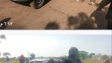 Deterrent judgments continue to confront those involved in the rebellious militia in Sennar