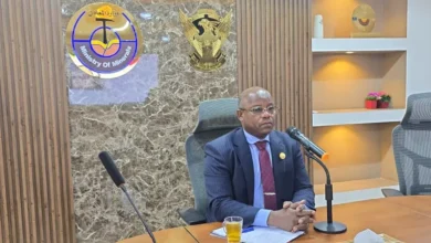 Geological research aims to accelerate the introduction of productive projects before the end of the year