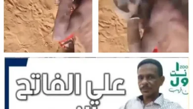 In the presence of blood and the executioner: scenes of torture that do not know mercy.