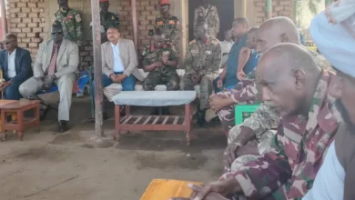 It was received by the governor of the Bleu Nile region, representative of the Governor of Sennar, the Minister of Health in charge, exercising condolences in the loss of the Rifla tribe in the Saha region in Damazin.