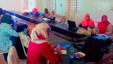 Sennar Health and an addition organization organizing an enlightenment for media professionals on the project of change of community behavior and community participation