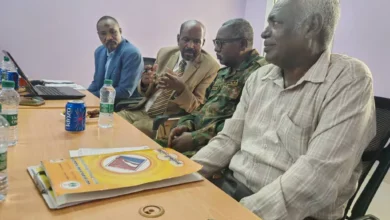 The Governor of Sennar calls for the adoption of scientific and legal risks in land treatment