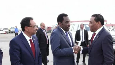 The Prime Minister goes to Egypt during the first official visit outside the country