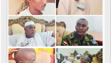 The coordination meeting on the ground between the resistance of the bear and the lions of the den