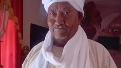 The role of young people in development and reconstruction ✍️ Dr. Ibrahim Othman writes