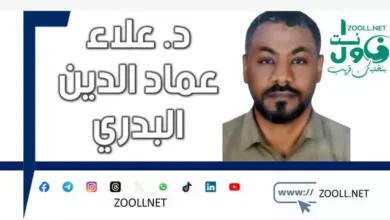 Tourism in Sudan ... The forgotten sector despite its buried treasures ✍️ d. ALAA IMAD AL -DIN AL -BADRI