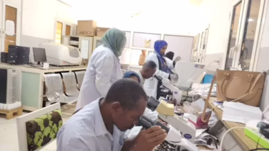 Al -jazeera: training 124 doctors, technicians, laboratories, pharmacy and nurses with health insurance to reduce the deaths of malaria