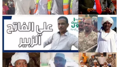 Allies of Kings: the Allied option (3)