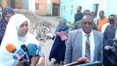 During his visit to the state of Al-Jazeera .. d. Nawara, member of the sovereign council, calls for the creation of the island reconstruction fund