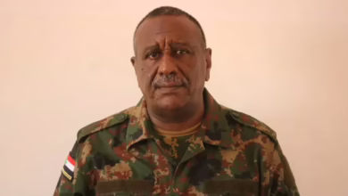 Governor of Al -jazeera: The return of life in the state by recovering health, security, art and sports