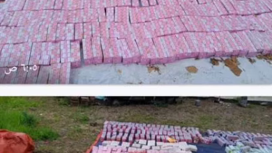 In the completion of the joint security cell in the state of Sennar, he enters #drugs # and medical preparations largely