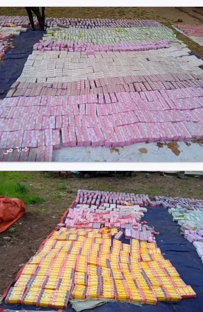 In the completion of the joint security cell in the state of Sennar, he enters #drugs # and medical preparations largely