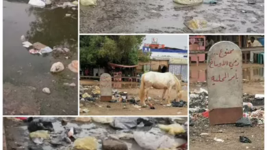 Local shendi between donations and the reality of the situation ✍️ Ahmed Muhammad al -hassan Othman Shendi