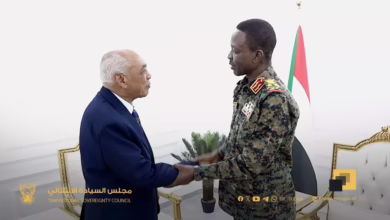 Member of the sovereign council, deputy commander -in -chief of the armed forces