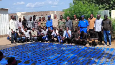 Sennar's joint safety cell enters a huge amount of bango medication