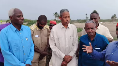The acting Nile, acting, inspects the protective bridges of the Nile in Al -jazeera, Aba, and reassures the situation on the ground in the light of the remarkable increase in the Nile levels these days.