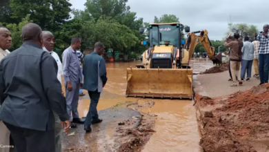 The governor of the island and the director is a executive in the locality and Daddni al -Kubra