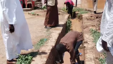 The inspector of the first presidency in the largest civil locality is on the work of water drainage