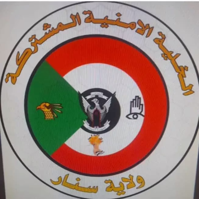 The joint security unit of the Sennar State links 8 employees to the rebellious militia to the execution platform