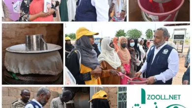 The launch of the "Drying Drying Dry" campaign in Khartoum state to combat dengue and malaria fever