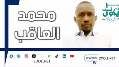 Mawia Mount: the epic of the Crowns Health Care championship - Safar al -takhi - ✍️ Muhammad al -aqab