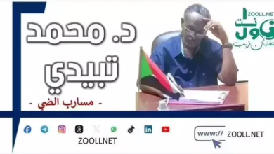 The decision to fire Farfour...a spark in the consciousness of Sudanese art - Masareb Al-Dhay - ✍️ Dr. Muhammad Tabidi