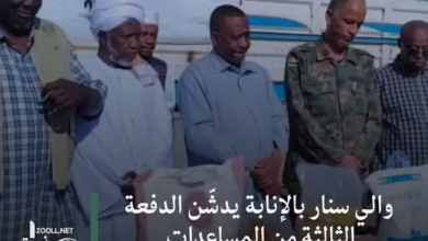 Acting Governor Sennar inaugurates third batch of Saudi aid to state