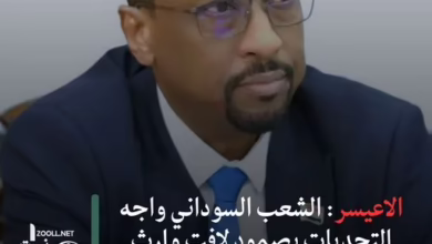 Al-Aysar: The Sudanese people have faced challenges with remarkable resilience and a strong legacy of coexistence and national belonging