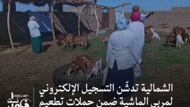 Al-Shamalia launches electronic registration of breeders as part of vaccination and livestock treatment campaigns