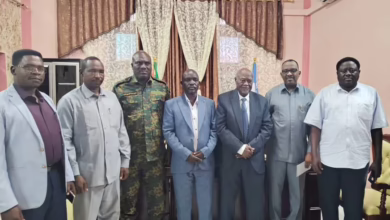 Federal Government Minister reviews performance of popular resistance in East Darfur