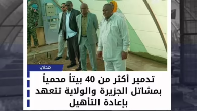 More than 40 greenhouses destroyed in the island's nurseries and the State undertakes to rehabilitate them