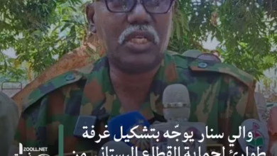 Sennar Governor orders the creation of an emergency room to protect the horticultural sector from risks - Zul Net