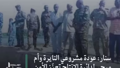 Sennar: Return of Naira and Umm Marhi projects to production department strengthens food security